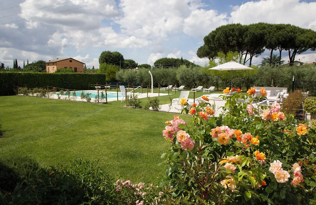 Rosa di Assisi-1
